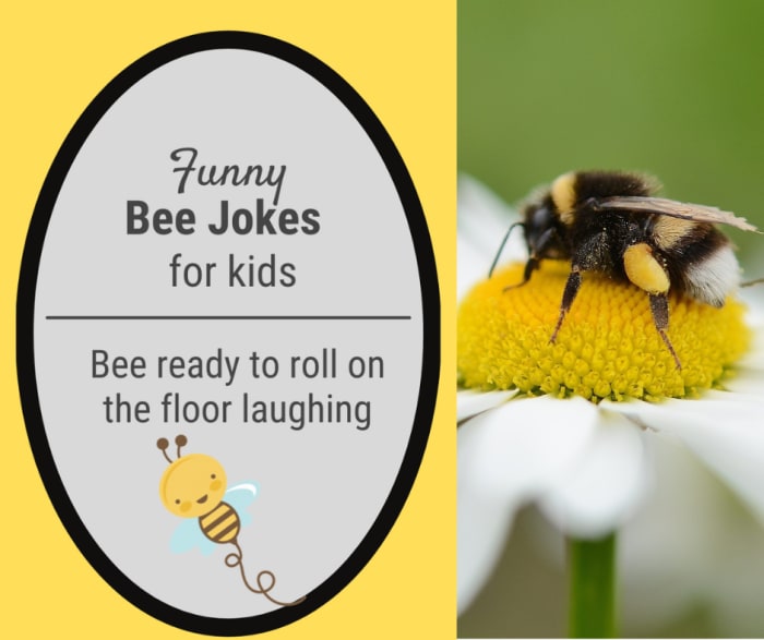 Buzz worthy bee jokes for kids Buzz worthy bee jokes for kids